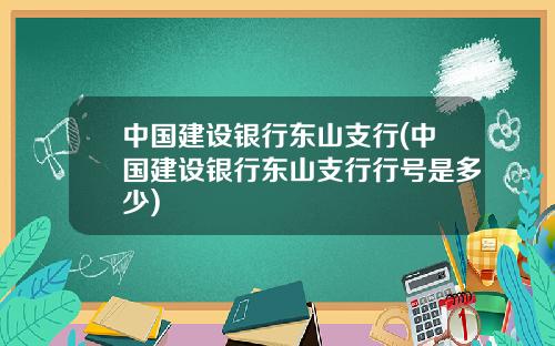 中国建设银行东山支行(中国建设银行东山支行行号是多少)