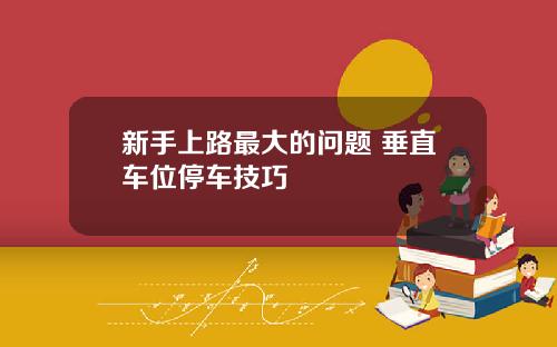 新手上路最大的问题 垂直车位停车技巧