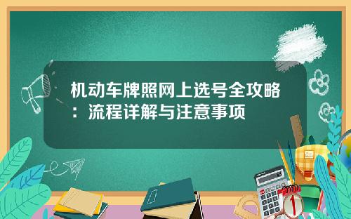 机动车牌照网上选号全攻略：流程详解与注意事项
