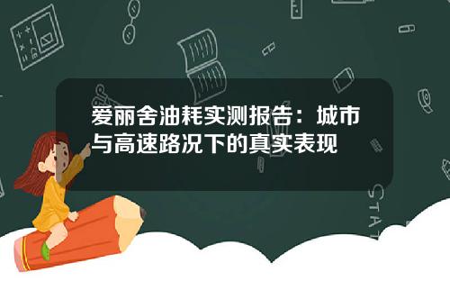 爱丽舍油耗实测报告：城市与高速路况下的真实表现