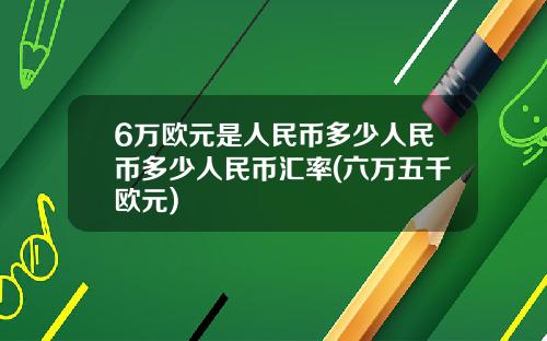 6万欧元是人民币多少人民币多少人民币汇率(六万五千欧元)
