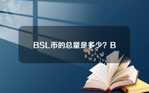 BSL币的总量是多少？BSL硬币发行和流通总量介绍