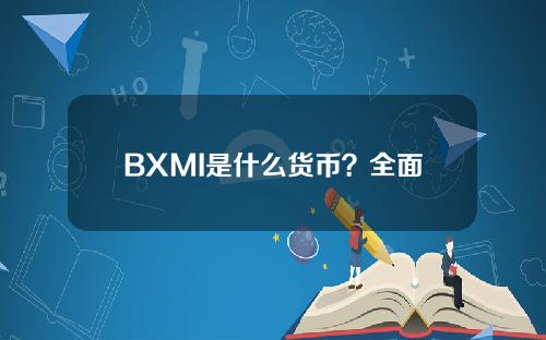 BXMI是什么货币？全面了解BXMI币