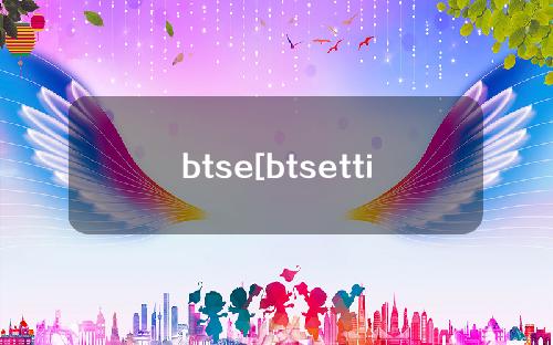 btse[btsettings翻译成汉语]