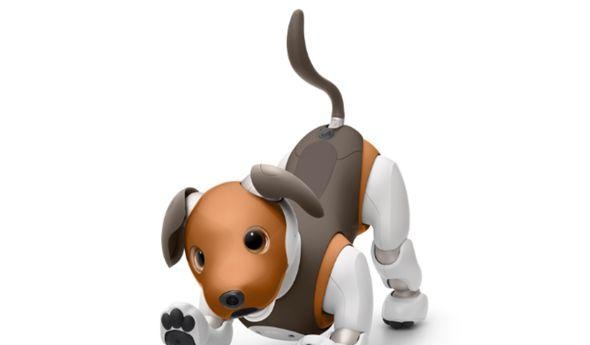 Aibo机器狗：人工智能+宠物，在黑科技面前，连狗都要失业了？