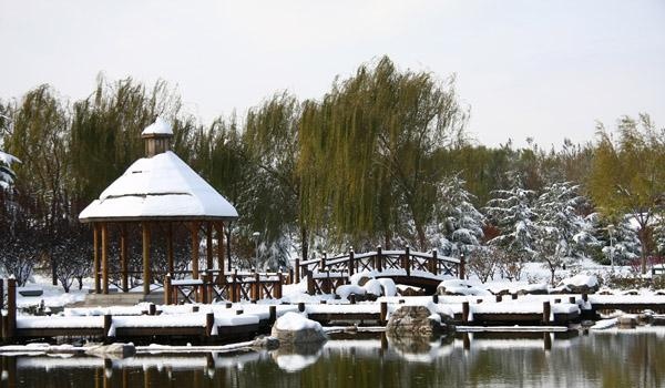 京城名字里带水的小众公园，真有水？│weekly好玩