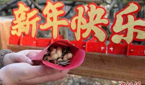 杭州动物园拉满过年仪式感 为动物备精致“年夜饭”