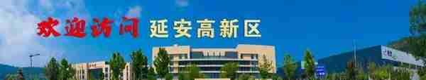 陕西省人民政府关于印发《防范和处置非法集资条例》实施细则的通知