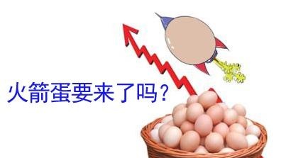 鸡蛋期货今日接连涨停，蛋价要开启新一轮暴涨了吗？