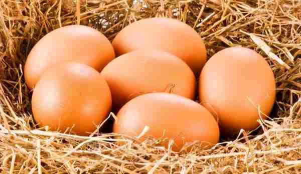 鸡蛋期货一手一个点是多少钱？