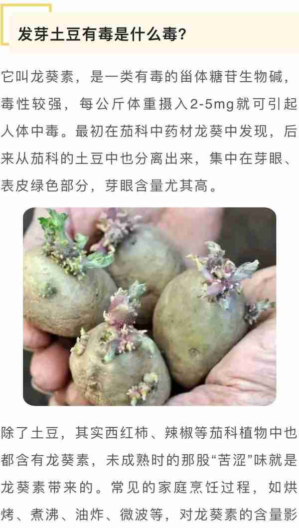 发芽土豆还能抢救一下吗？发芽土豆有毒是什么毒？