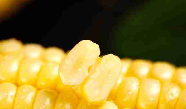 玉米价格还没有跌到底，危机在后面，2023年4月5日玉米行情