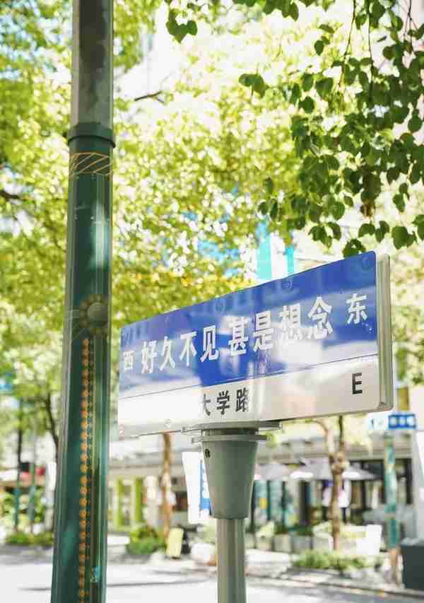 杨浦有条“会说情话的马路”？就是大学路