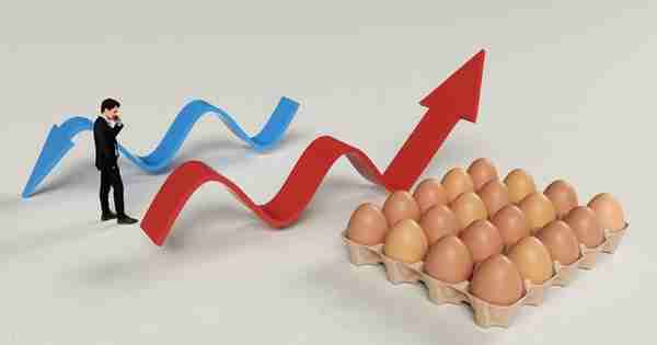 节前备货支撑，蛋价再度强势上涨，毛鸡偏弱调整