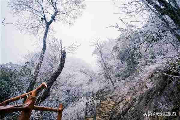 广东金子山形成十年一遇冰雪景观，受疫情之下，景区损失惨重