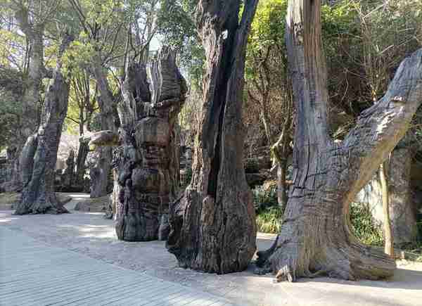 邂逅全球最大的根雕根宫佛国，赏精巧绝伦的根雕艺术