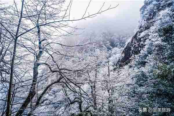 广东金子山形成十年一遇冰雪景观，受疫情之下，景区损失惨重