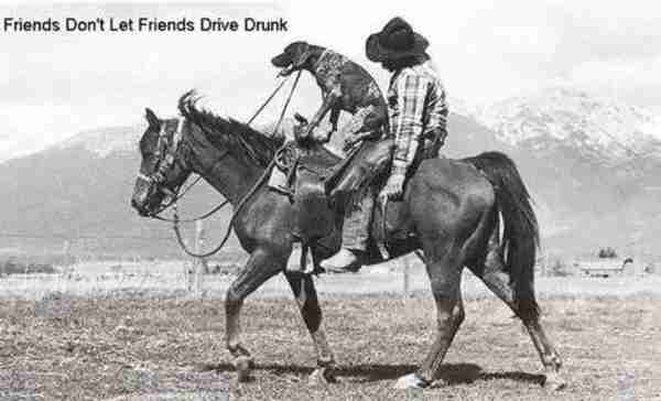 酒后骑马，到底算不算酒驾？